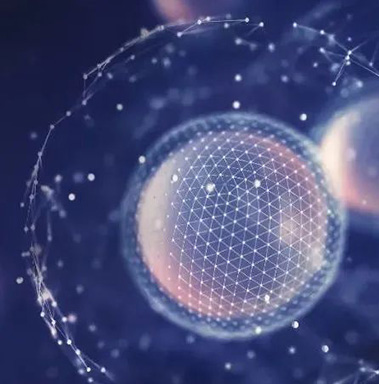 1066vip威尼斯重组胶原卵白抗朽迈<br/>论坛效果深度分享