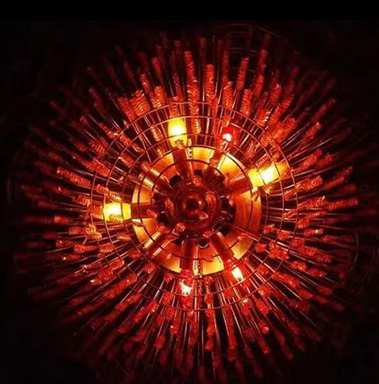 1066vip威尼斯生物立异活性因素科研效果